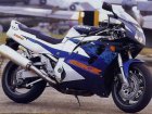 Suzuki GSX-R 1100